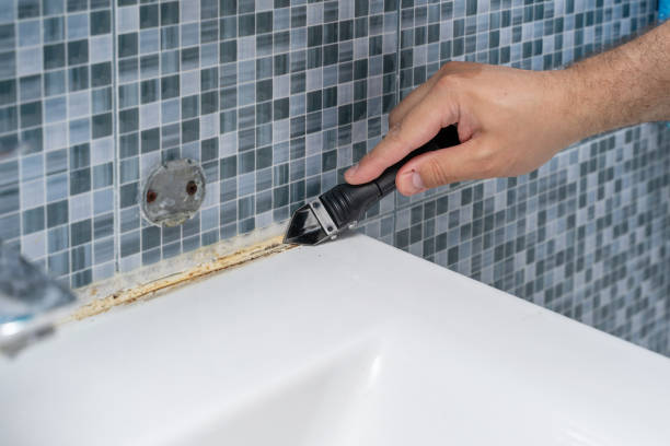 Best DIY Mold Remediation Support Services in Ohatchee, AL