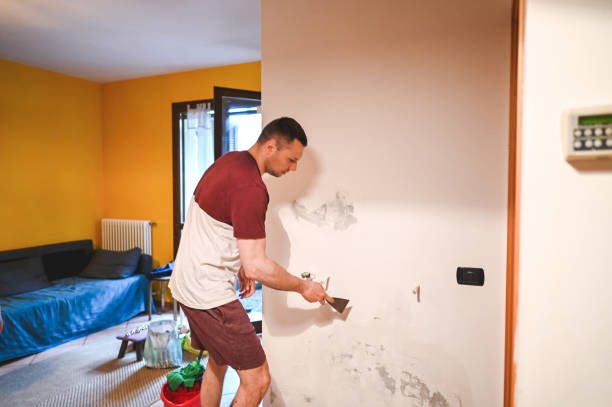 Best Localized Mold Remediation (e.g., coastal areas, humid climates) in Ohatchee, AL